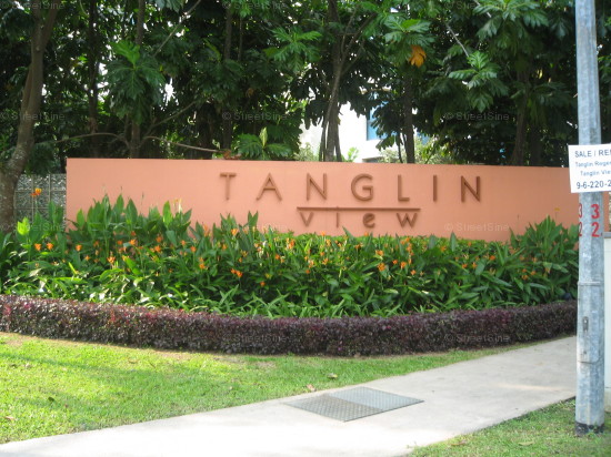 Tanglin View (D3), Condominium #949612